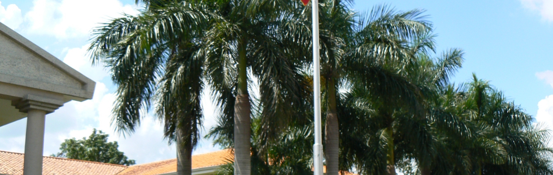 Universidad Nacional de Asunción